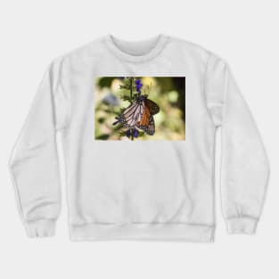 Monarchs of Mexico Crewneck Sweatshirt